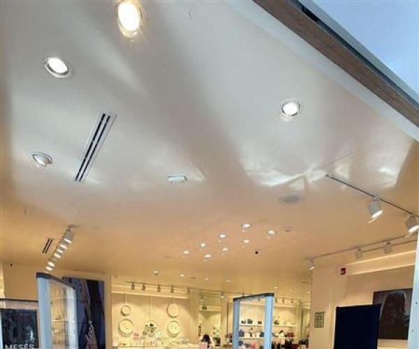 Le&oacute;n de Los Aldama