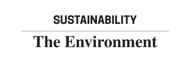 Sostenibilidad: Medio Ambiente